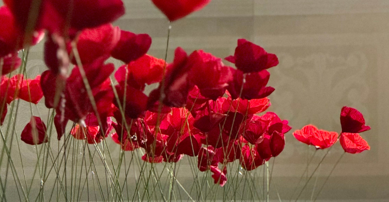 Chicapui at the Castello di Moncalieri: an imaginary botany shaped with Cartotecnica Rossi crepe paper